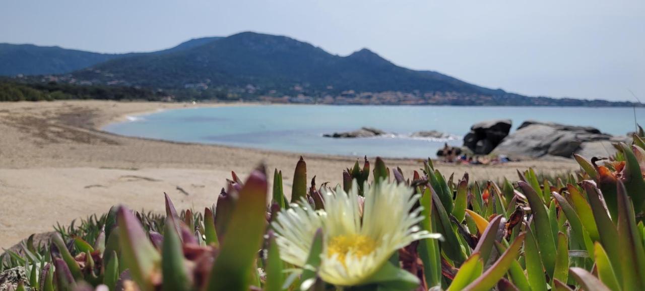 Residences Sopramare Algajola (Corsica)